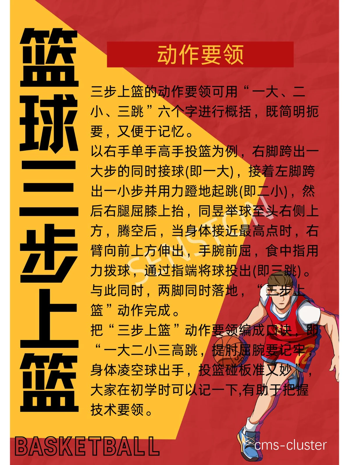 职业篮球员训练方法